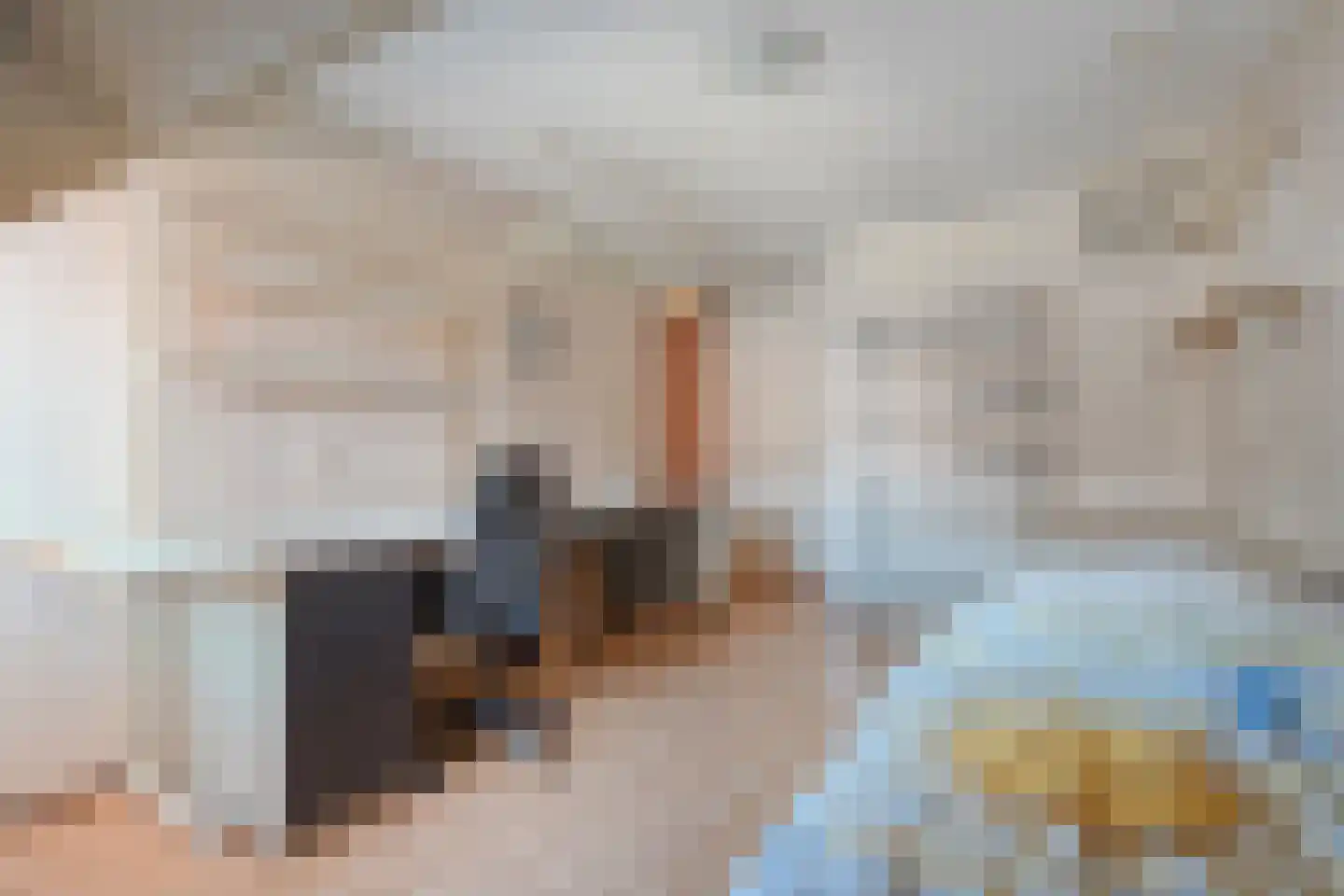 De Ara 40 Almelo thumbnail 17