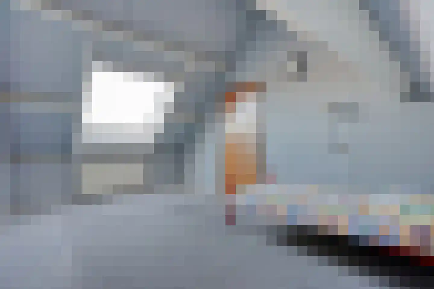 De Ara 40 Almelo thumbnail 24