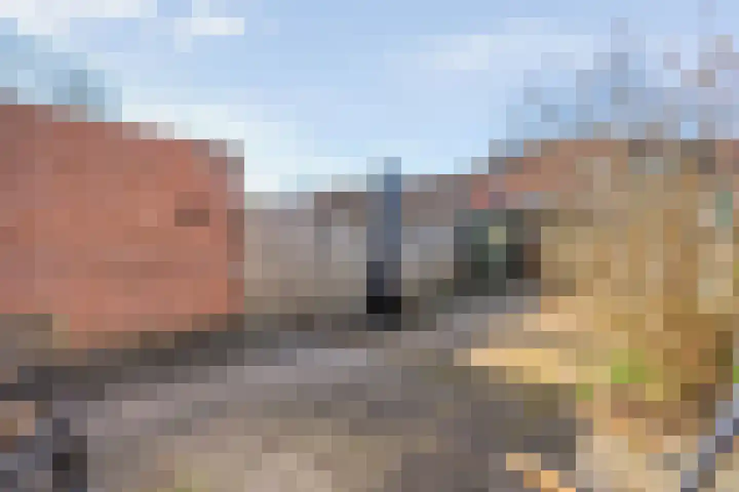 De Ara 40 Almelo thumbnail 28