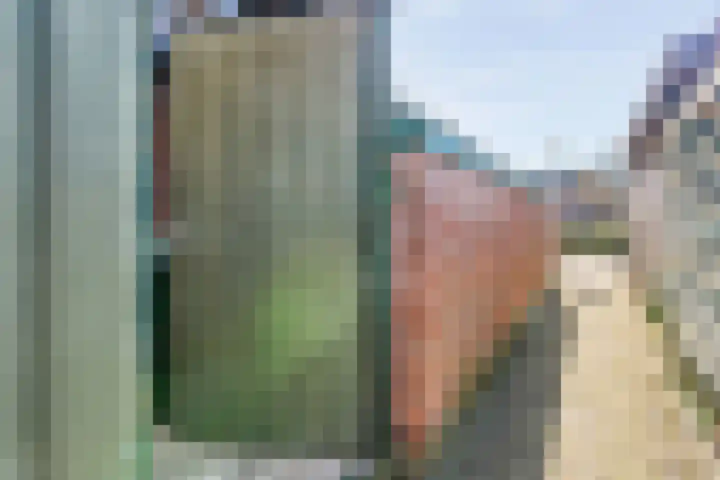 De Ara 40 Almelo thumbnail 29