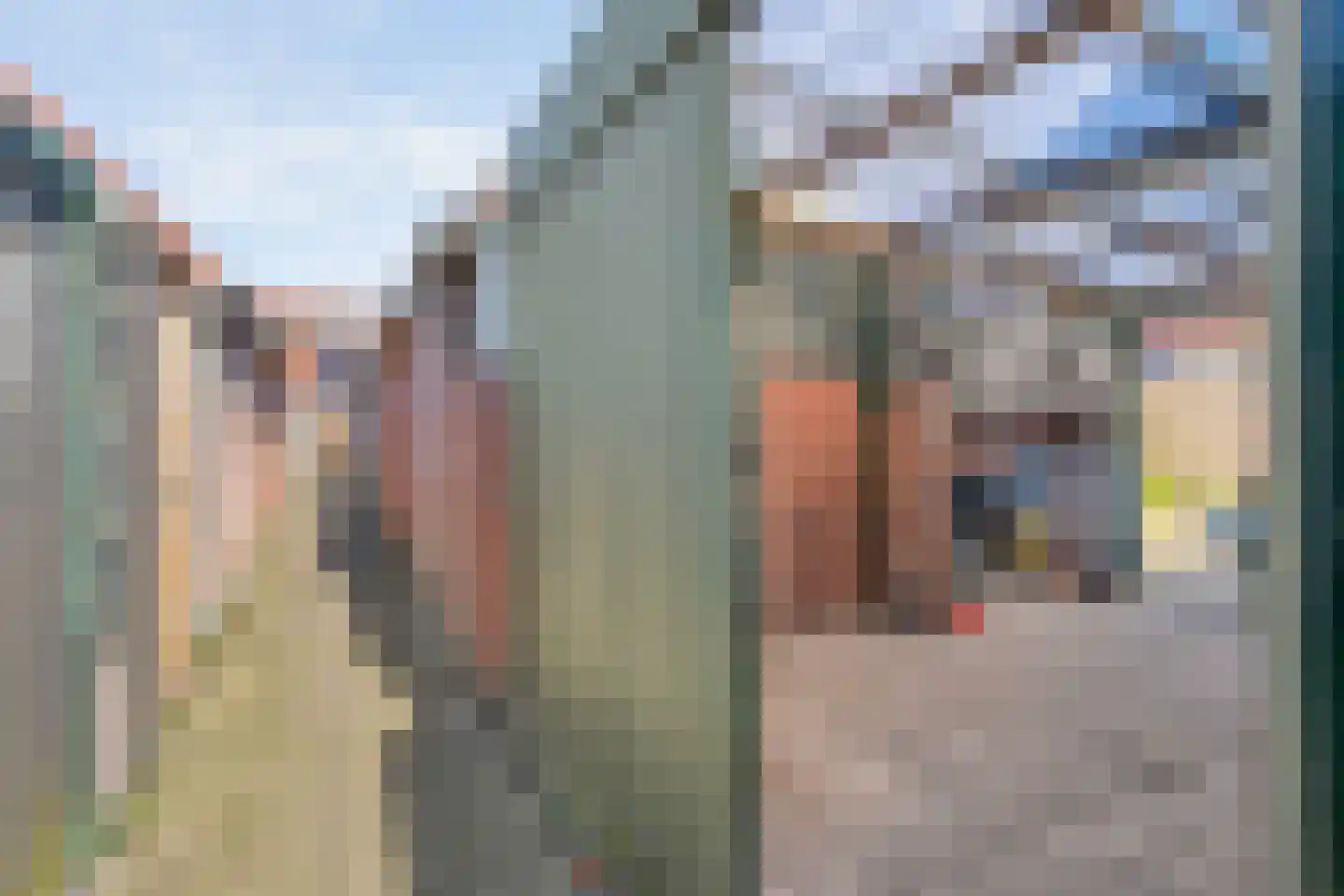 De Ara 40 Almelo thumbnail 30