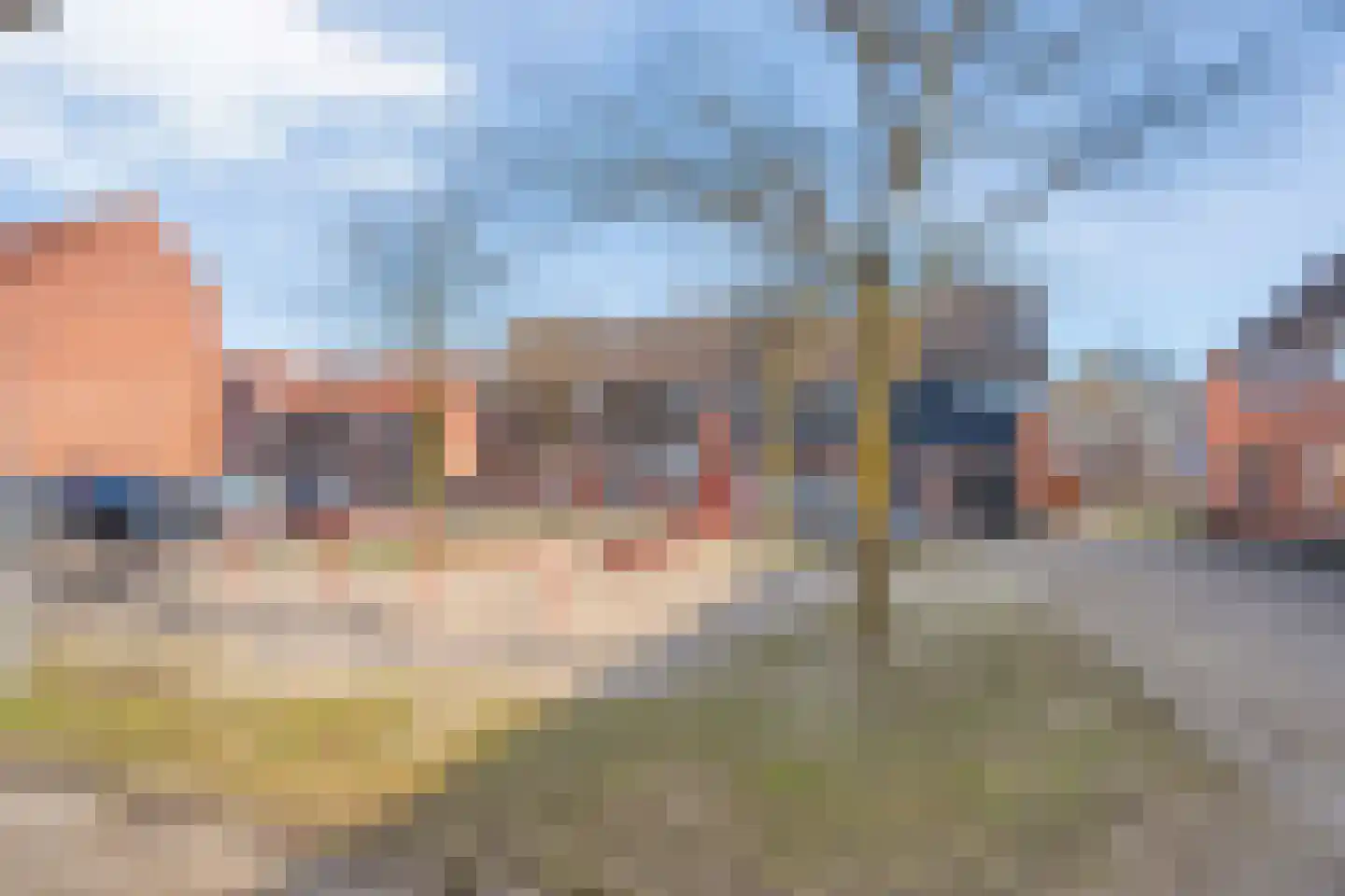 De Ara 40 Almelo thumbnail 31