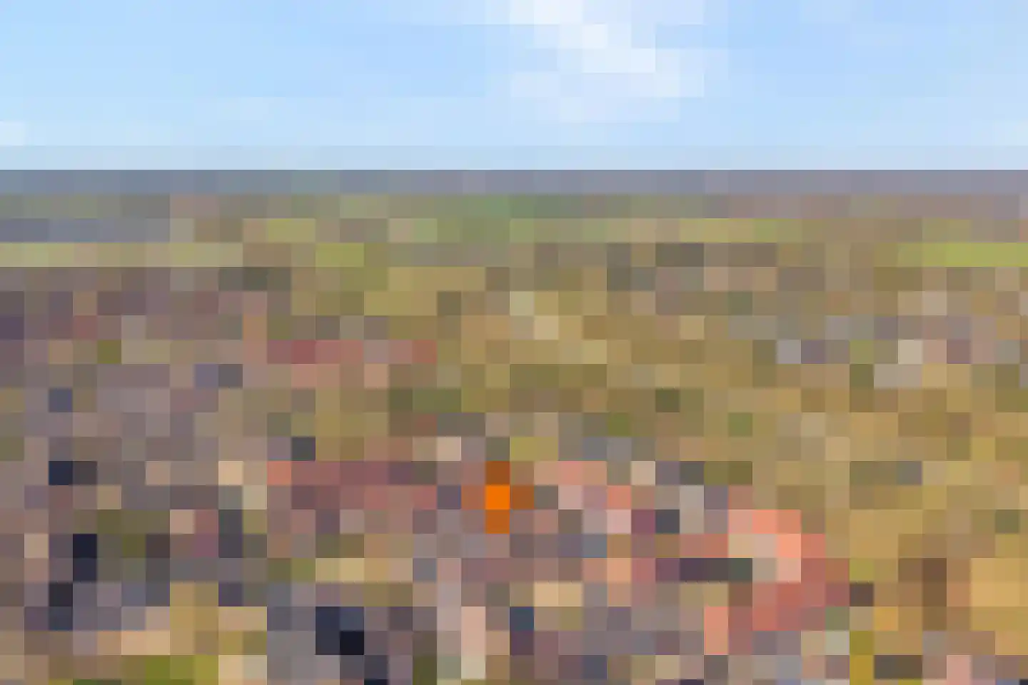 De Ara 40 Almelo thumbnail 36