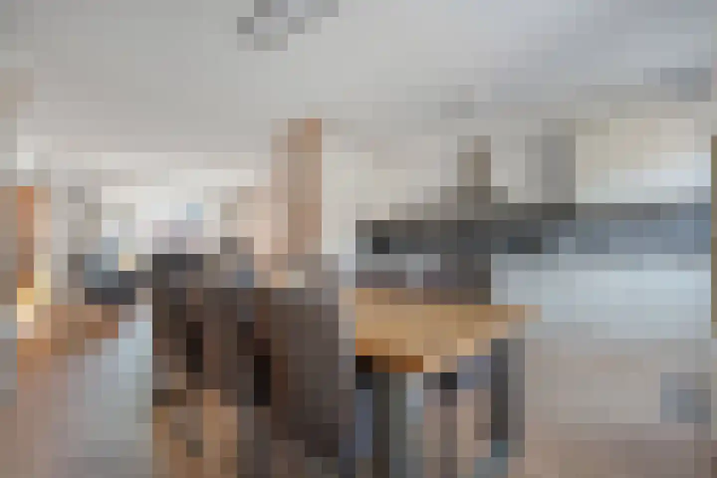 De Ara 40 Almelo thumbnail 9