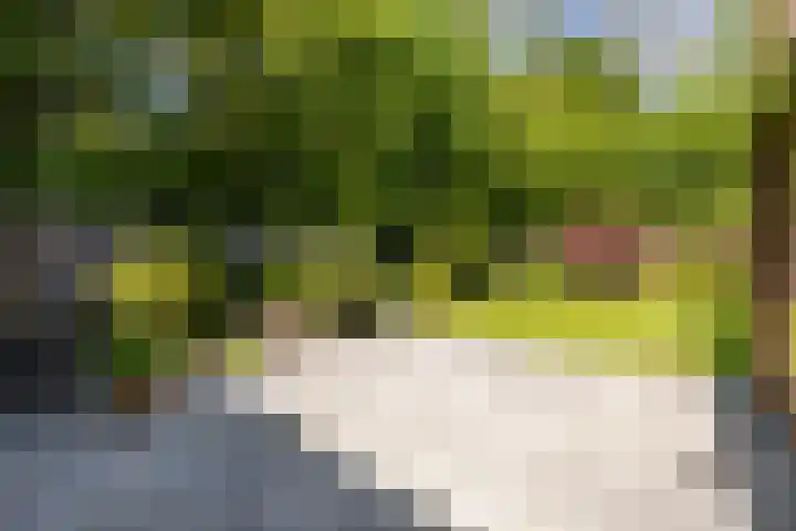 De Ara 45 Almelo thumbnail 22