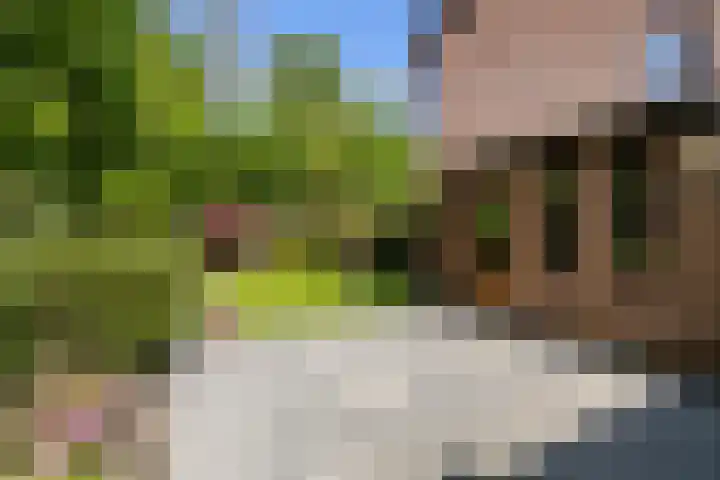 De Ara 45 Almelo thumbnail 23