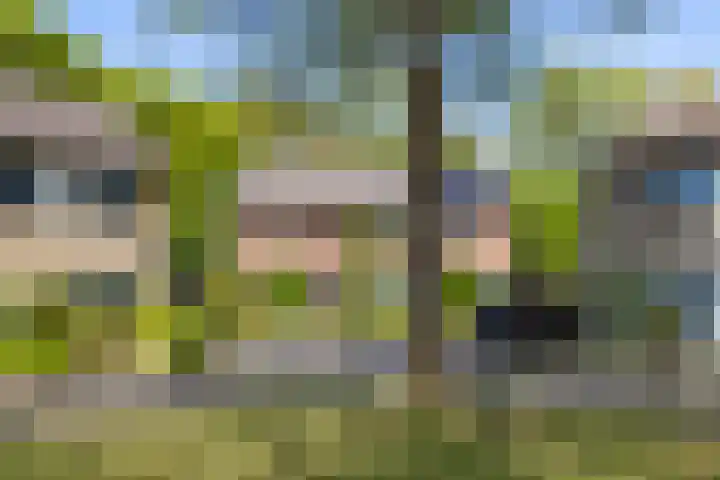 De Ara 45 Almelo thumbnail 25