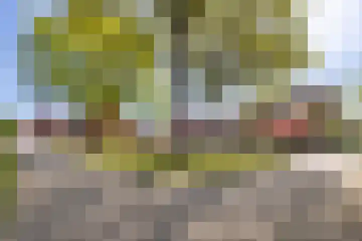 De Ara 45 Almelo thumbnail 26