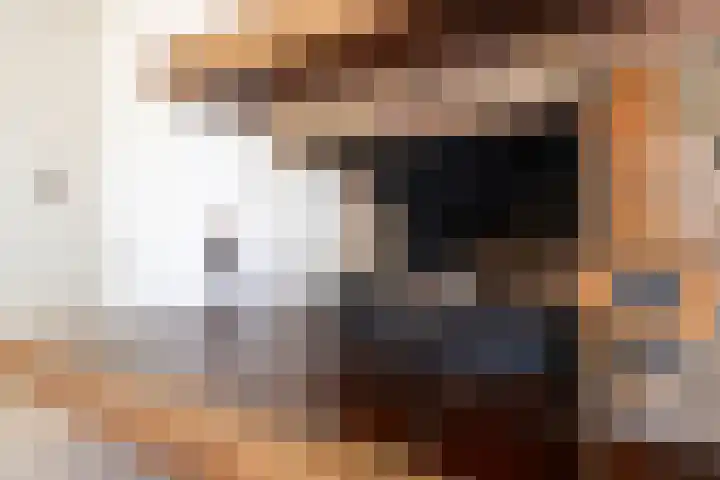 De Ara 45 Almelo thumbnail 8