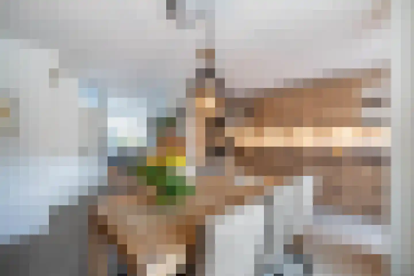 De Ara 62 Almelo thumbnail 10