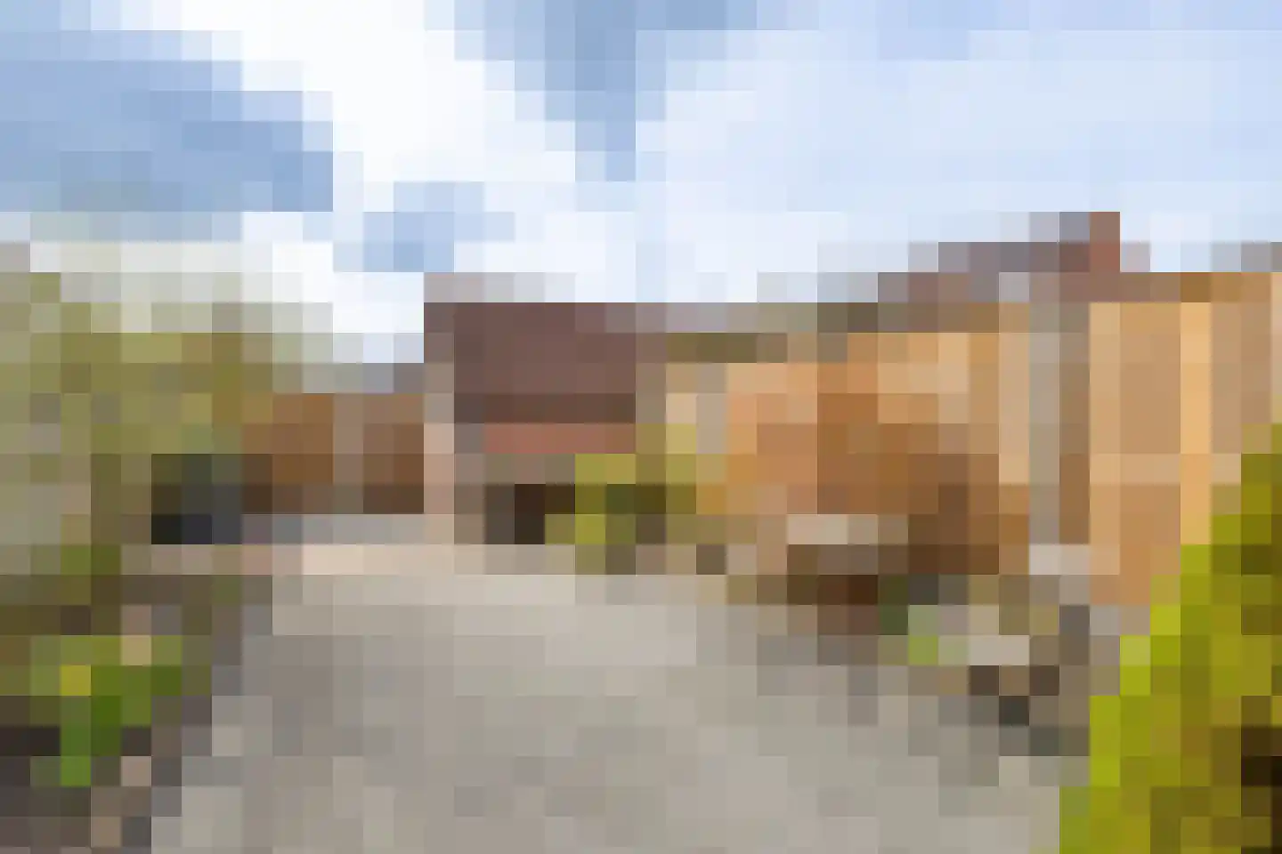 De Ara 62 Almelo thumbnail 24