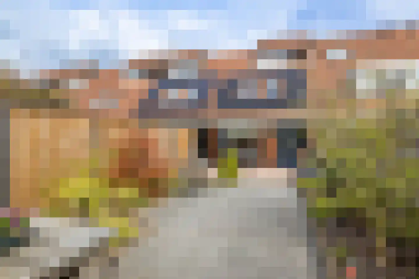 De Ara 62 Almelo thumbnail 25