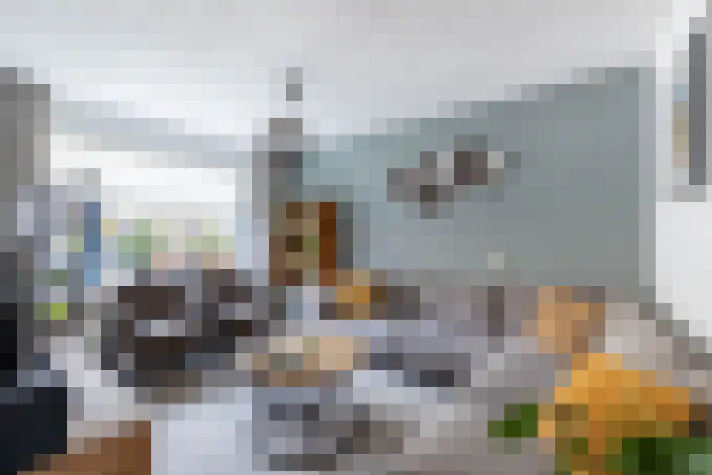 De Ara 62 Almelo thumbnail 6