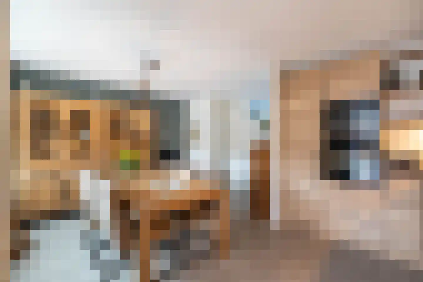 De Ara 62 Almelo thumbnail 8