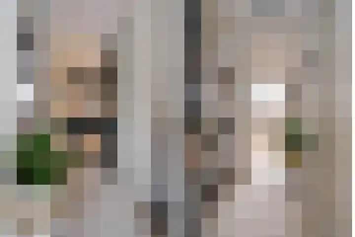 De Ara 64 Almelo thumbnail 14
