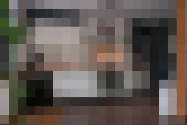 De Ara 64 Almelo thumbnail 8
