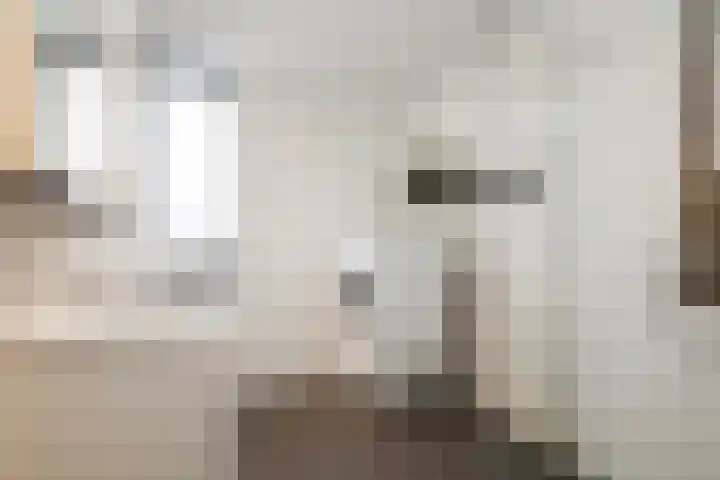 De Arabier 11 Dronten thumbnail 18