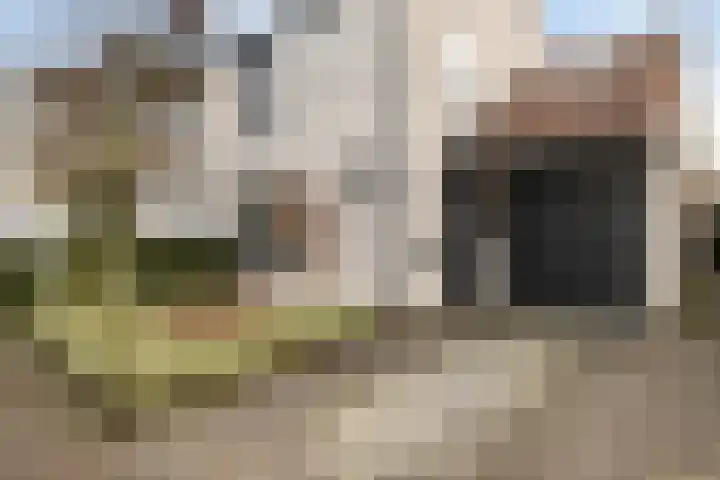 De Arabier 11 Dronten thumbnail 26