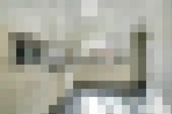 De Arabier 13 Dronten thumbnail 13