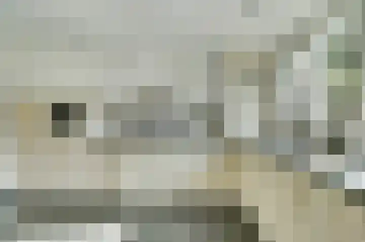 De Arabier 13 Dronten thumbnail 14