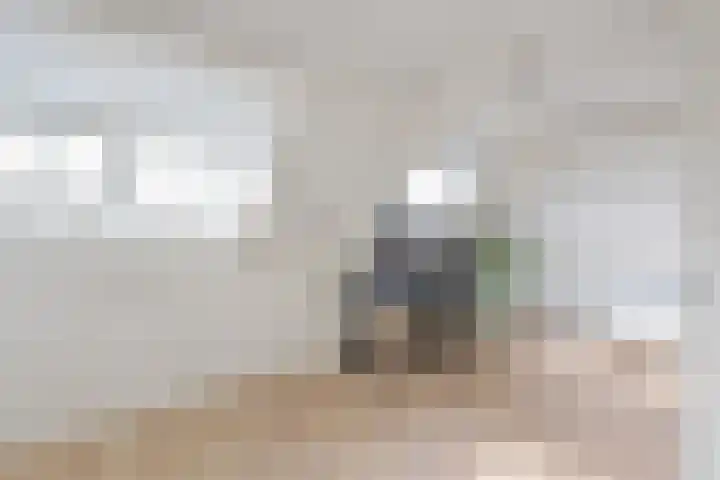 De Arabier 13 Dronten thumbnail 17