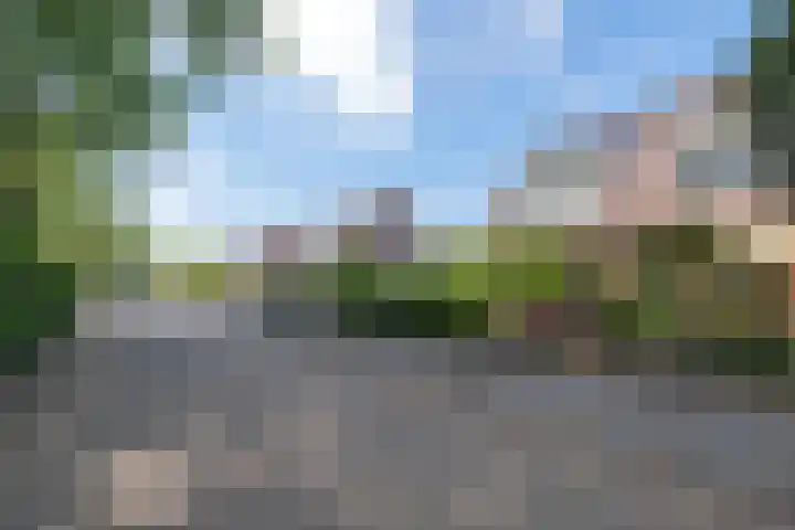 De Arabier 13 Dronten thumbnail 28