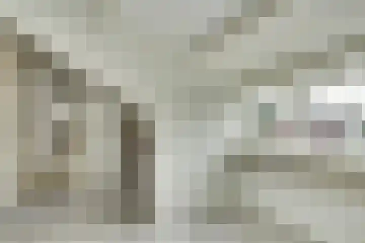 De Arabier 13 Dronten thumbnail 30