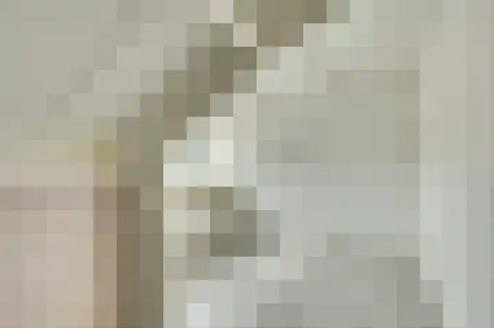 De Arabier 13 Dronten thumbnail 31