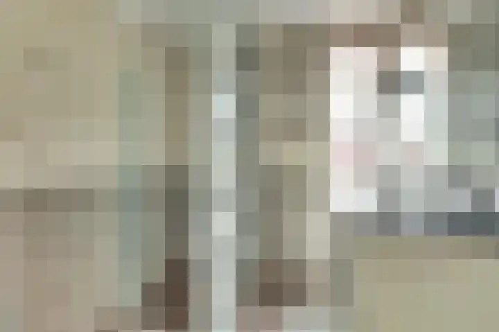 De Arabier 13 Dronten thumbnail 4
