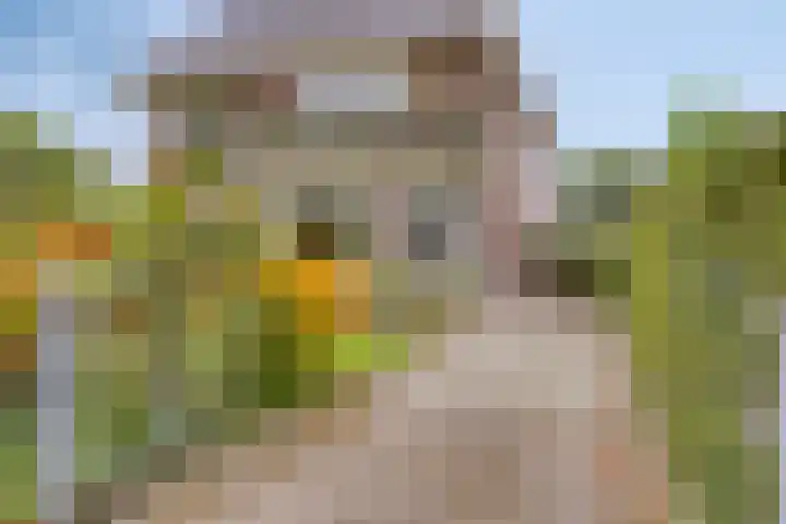 De Arabier 13 Dronten thumbnail 46