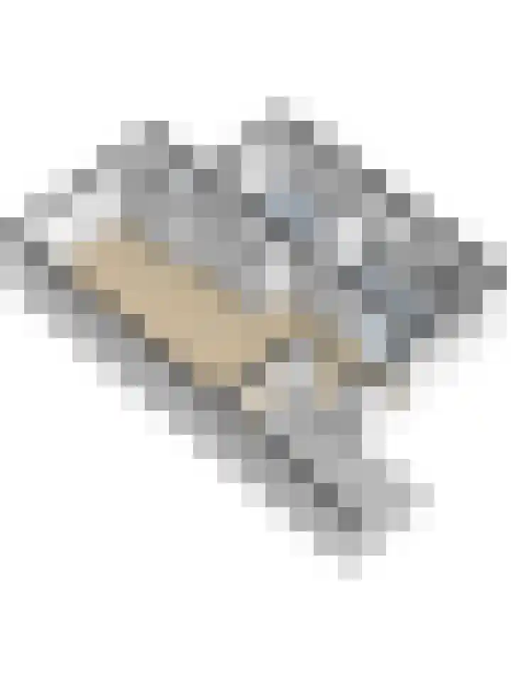 De Arabier 13 Dronten thumbnail 49