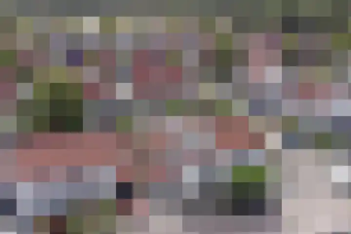 De Arabier 13 Dronten thumbnail 5