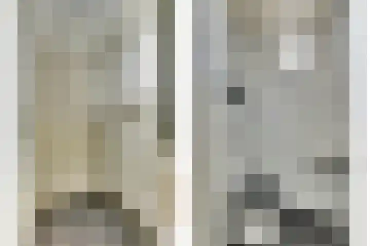 De Arabier 13 Dronten thumbnail 6