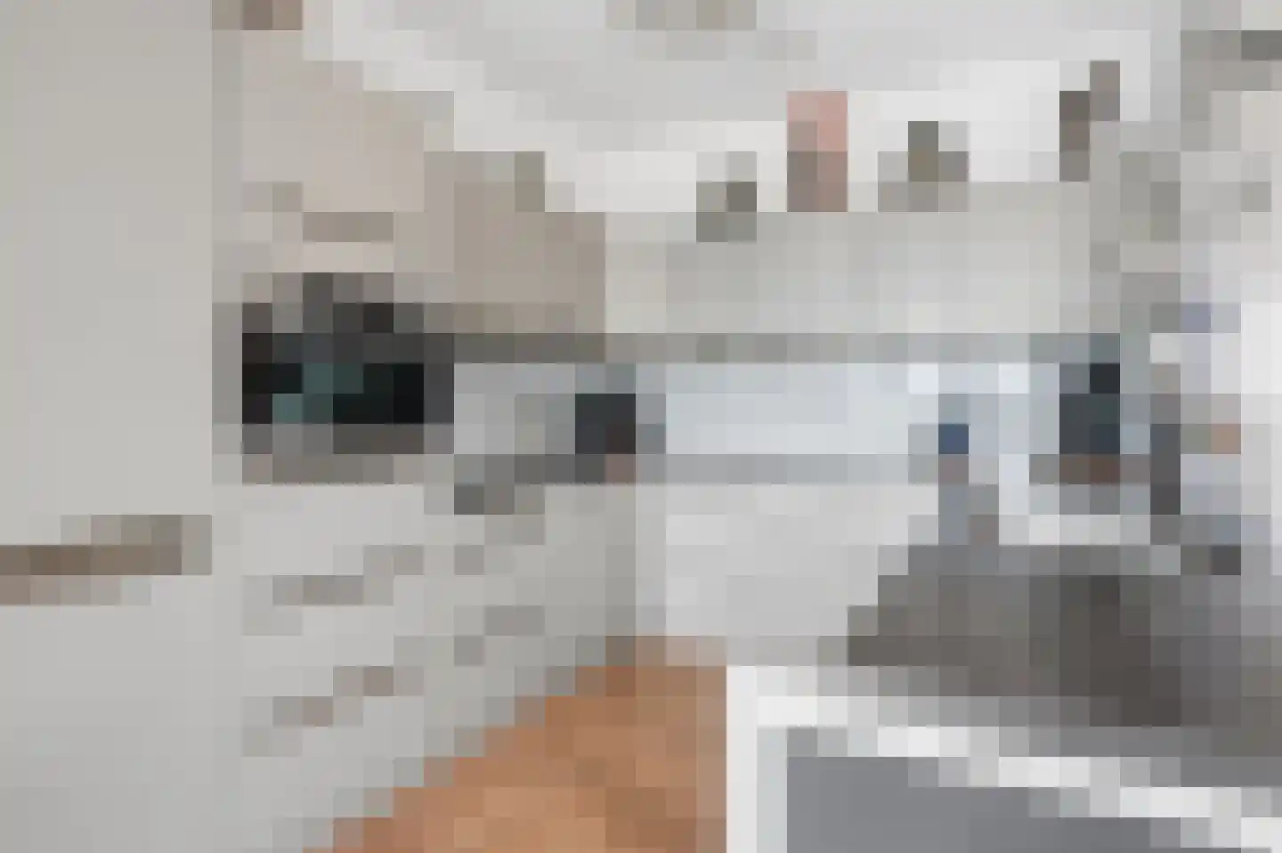 De Arc 135 Wageningen thumbnail 4