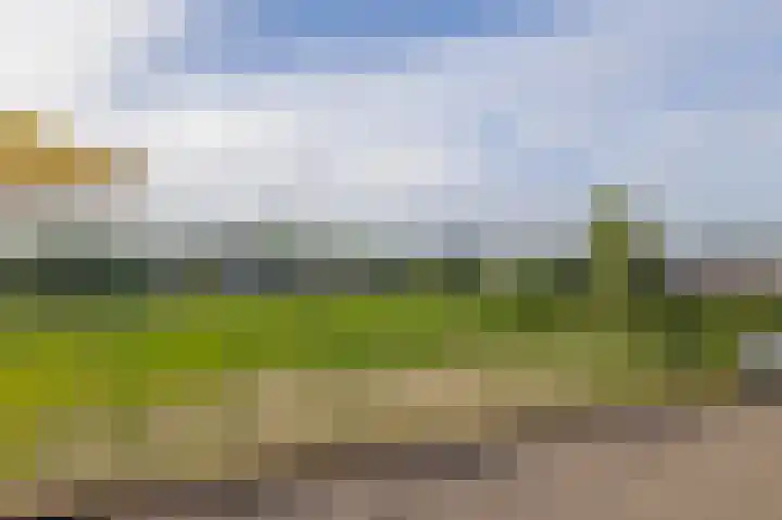 De Arc 43 Wageningen thumbnail 22