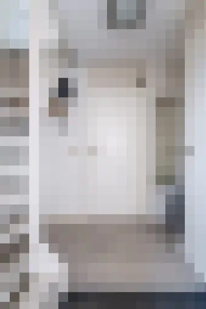 de Aren 12 St.-Annaparochie thumbnail 11