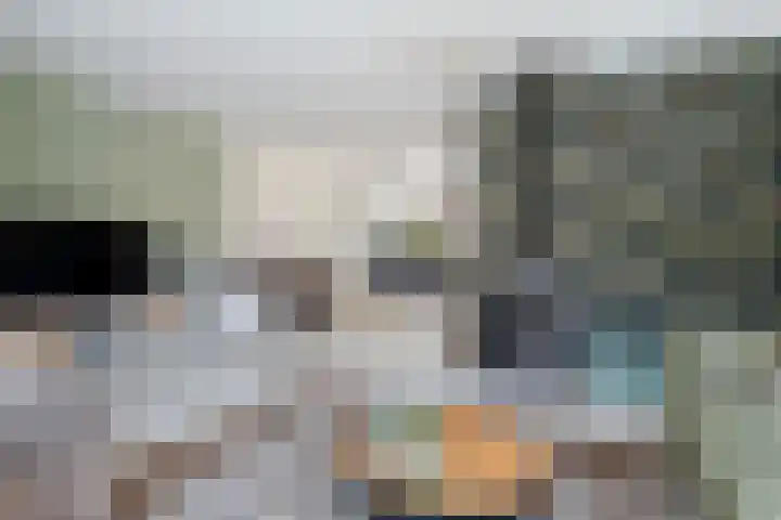 de Aren 12 St.-Annaparochie thumbnail 13