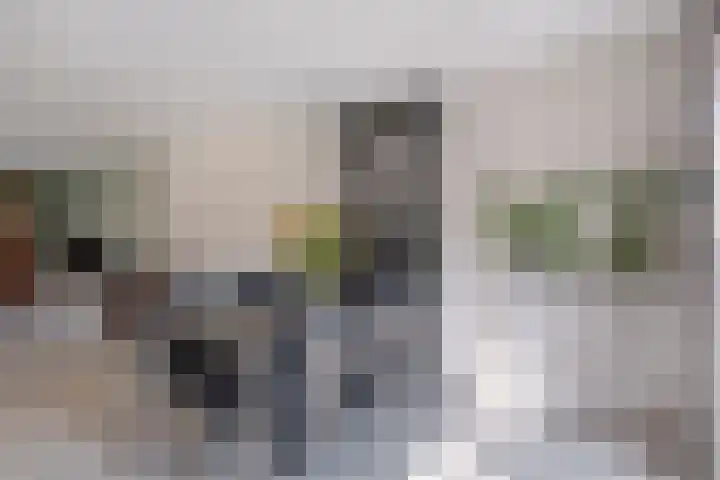 de Aren 12 St.-Annaparochie thumbnail 22