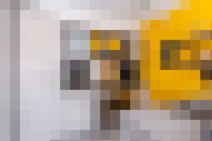 de Aren 12 St.-Annaparochie thumbnail 24