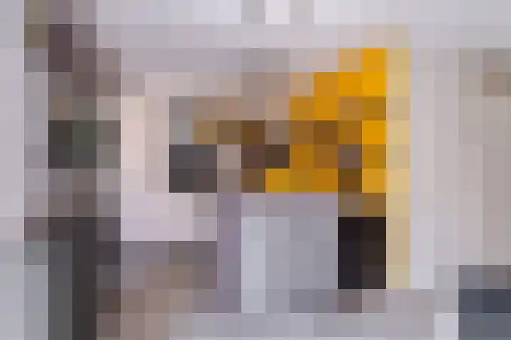 de Aren 12 St.-Annaparochie thumbnail 25