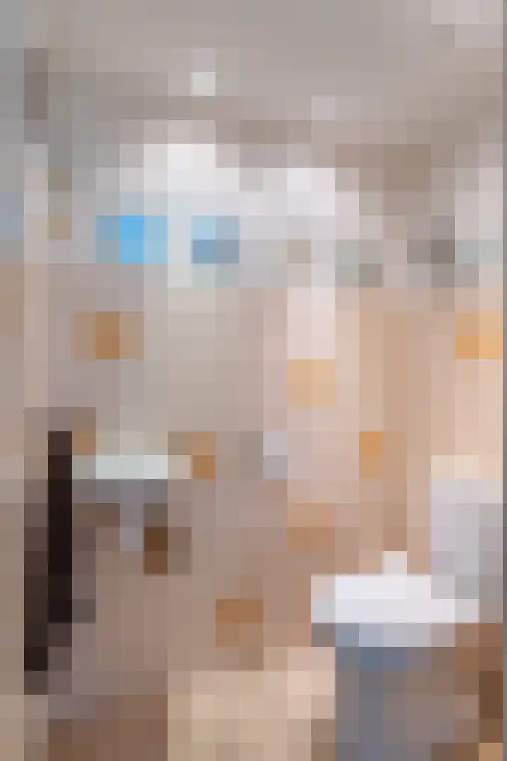 de Aren 12 St.-Annaparochie thumbnail 27