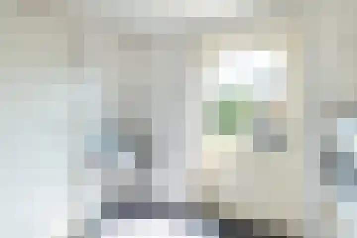 de Aren 12 St.-Annaparochie thumbnail 30