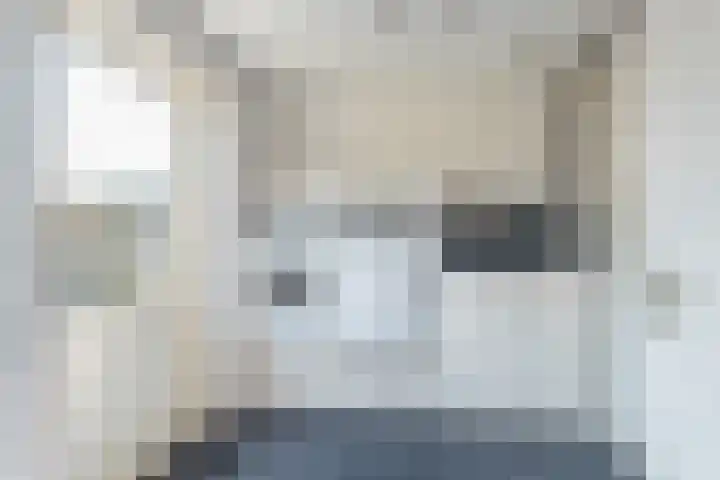 de Aren 12 St.-Annaparochie thumbnail 31