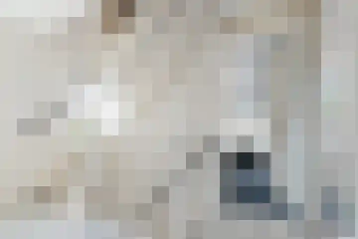 de Aren 12 St.-Annaparochie thumbnail 33