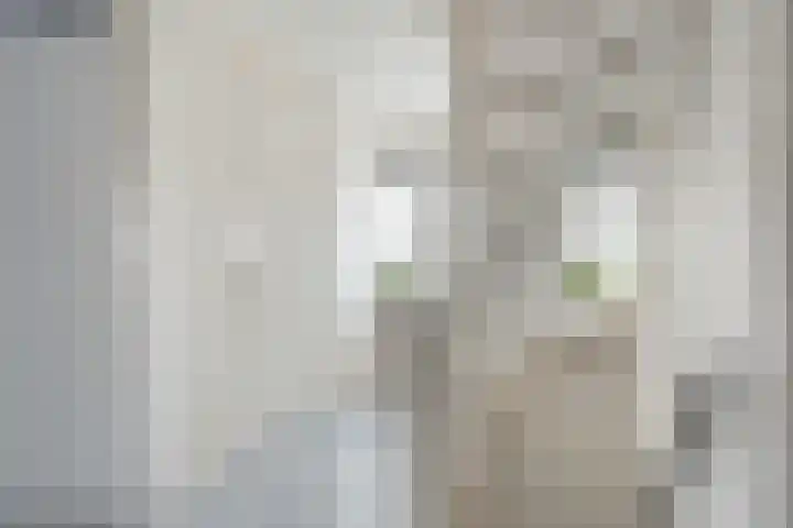 de Aren 12 St.-Annaparochie thumbnail 34