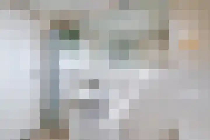 de Aren 12 St.-Annaparochie thumbnail 41