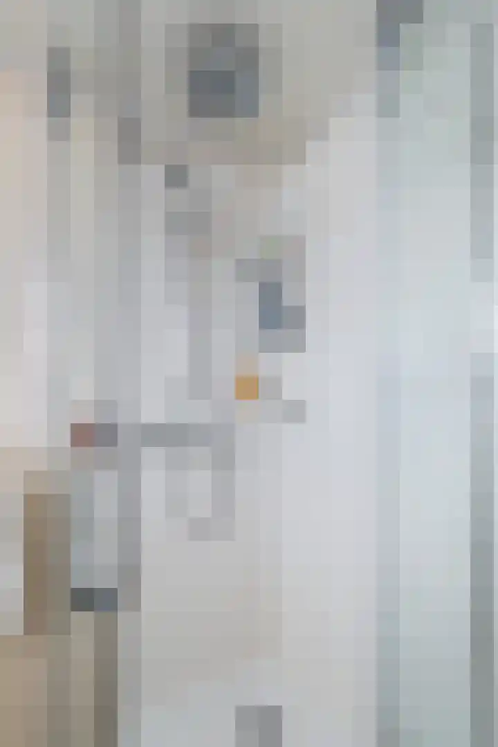 de Aren 12 St.-Annaparochie thumbnail 42
