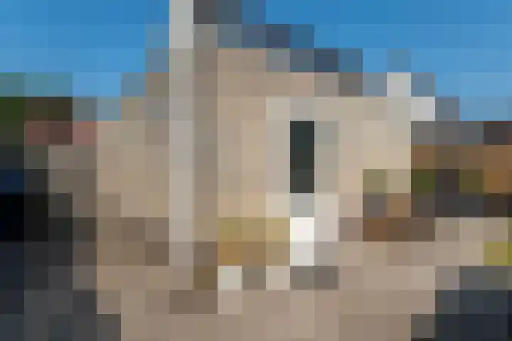 de Aren 12 St.-Annaparochie thumbnail 45