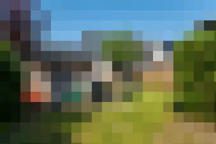 de Aren 12 St.-Annaparochie thumbnail 47