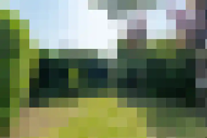 de Aren 12 St.-Annaparochie thumbnail 48